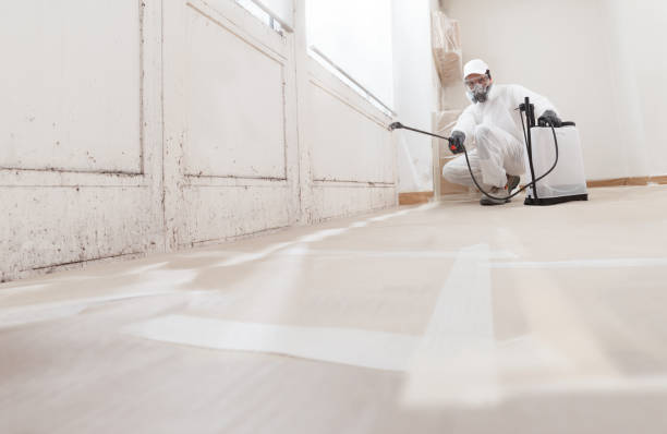 24/7 Emergency Mold Remediation experts in Milton, WA