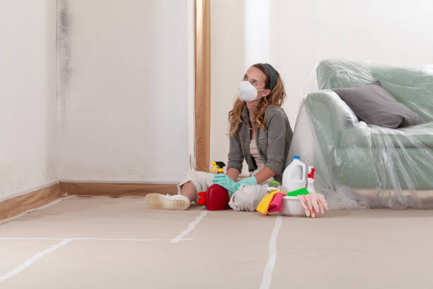 Reliable Mold Remediation contractor in Milton, WA by 24 Hour Mold Removal